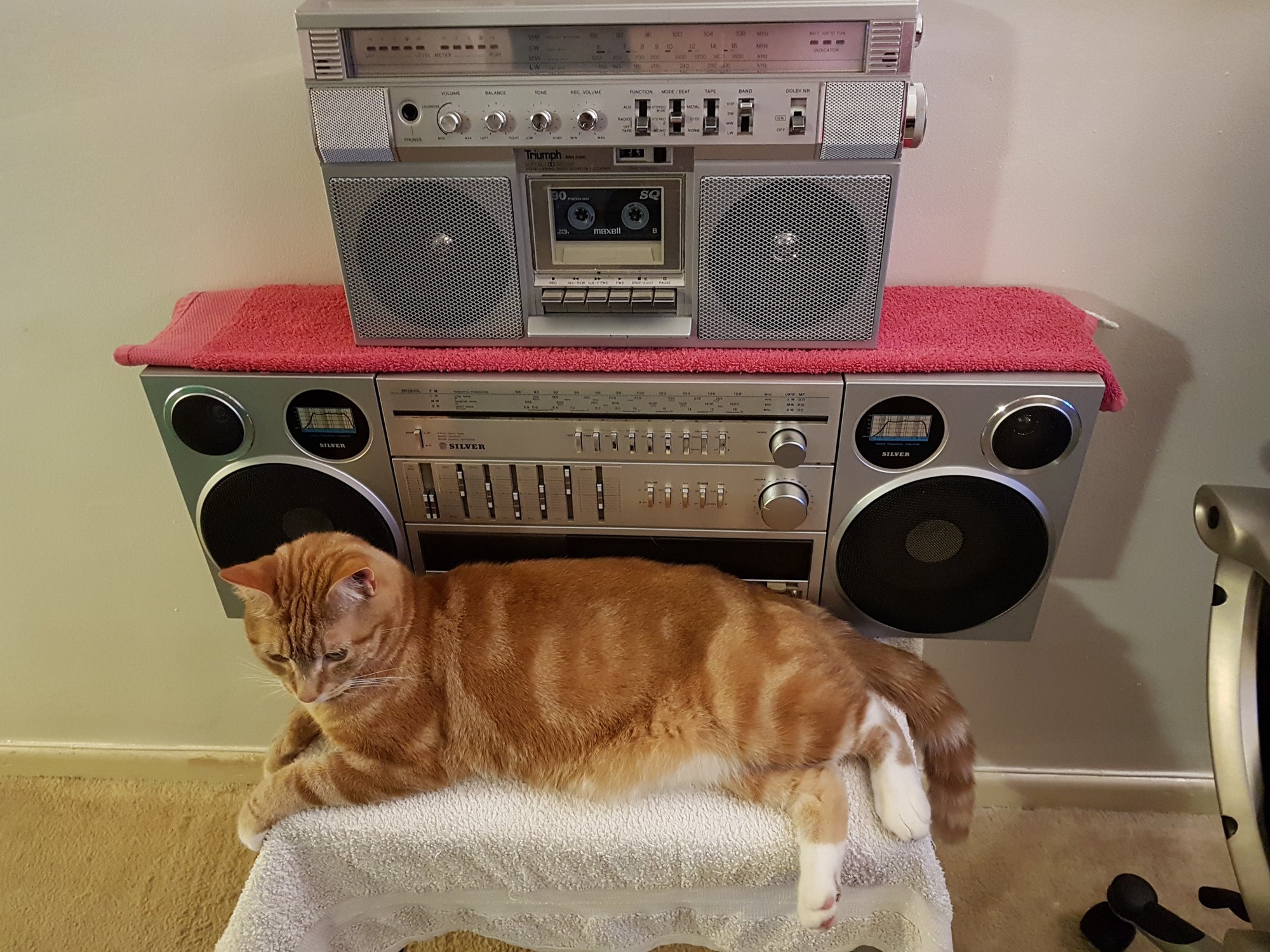 Boombox Cat - 1 June 2018.jpg