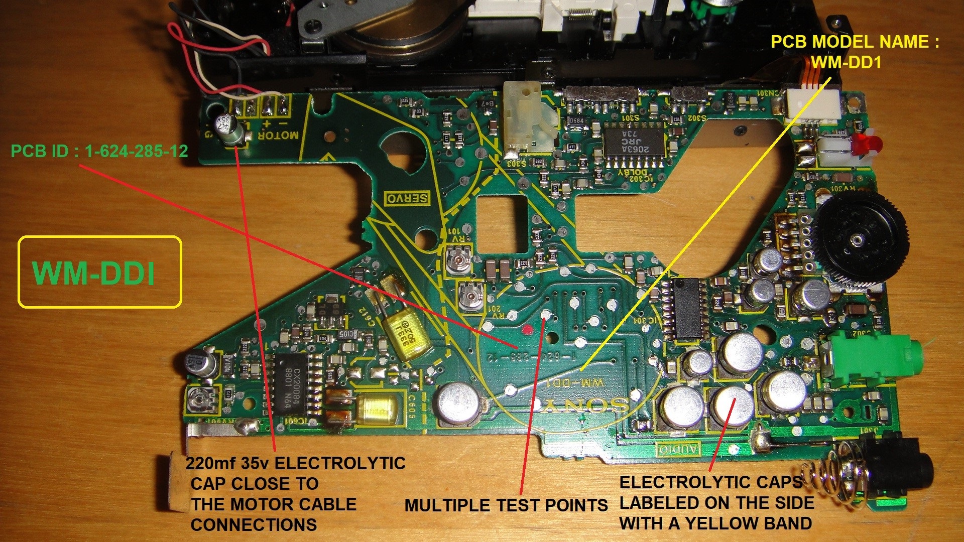 DSC01208BcD.jpg