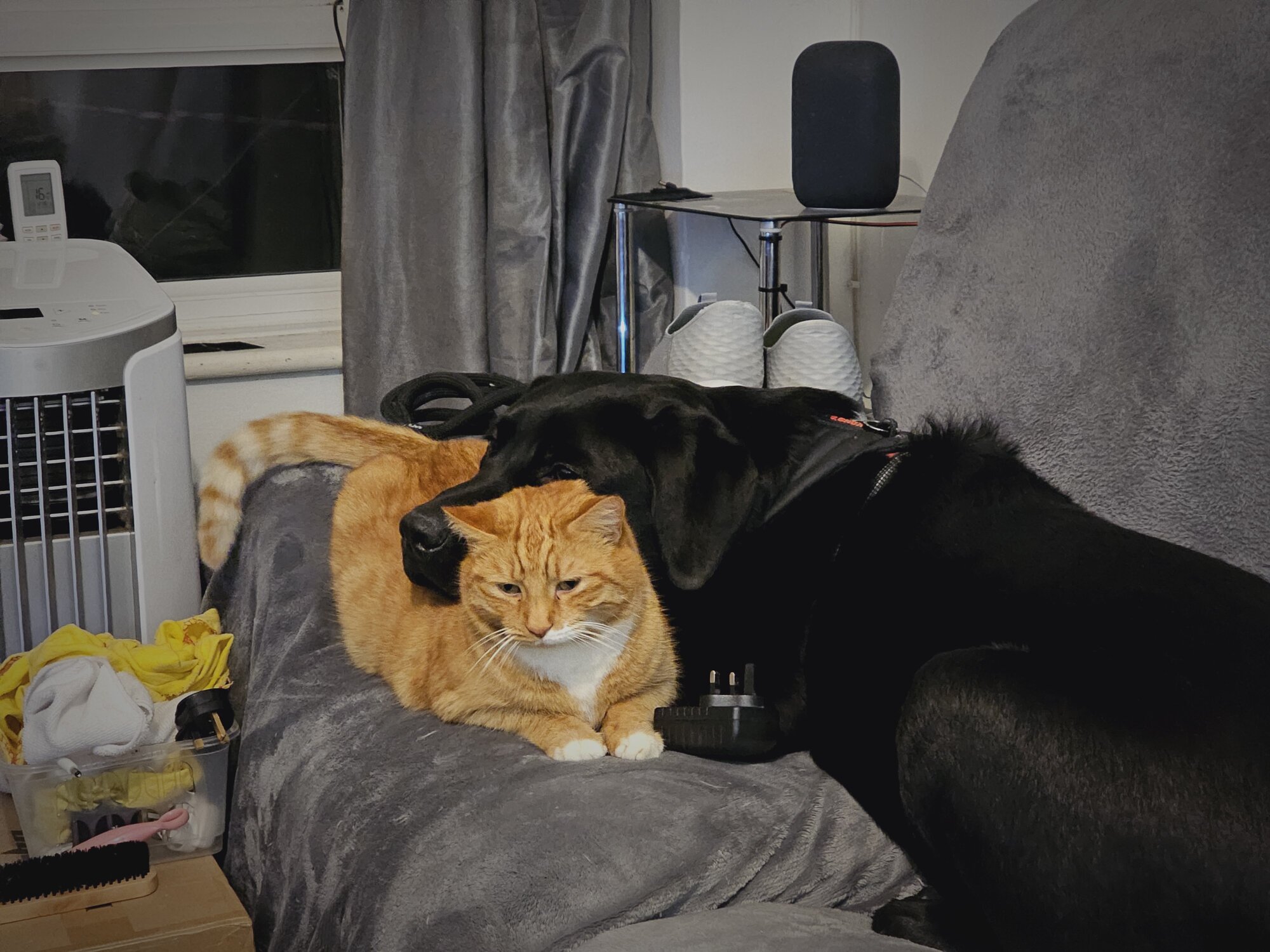 Les Animaux! - 15 January 2024 (3).jpg