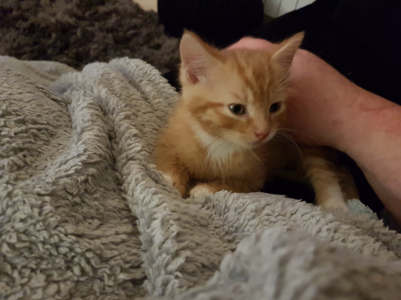 W'Orange Comes Home - 17 April 2019 (11).jpg