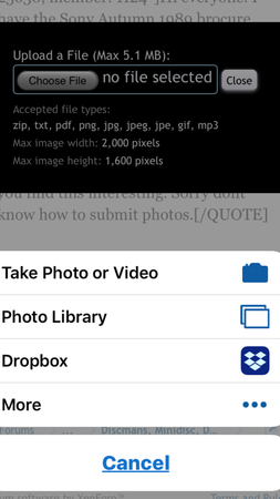 IMG_8912.PNG