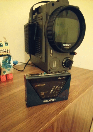 wm-f550c-shot.gif