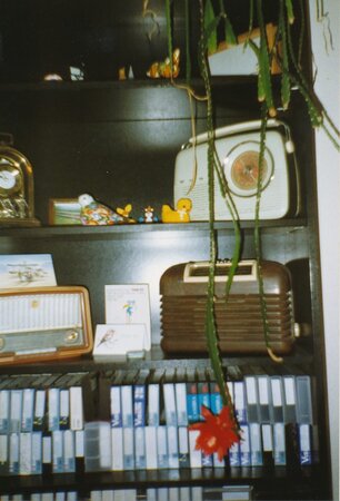 Old Radios.jpg