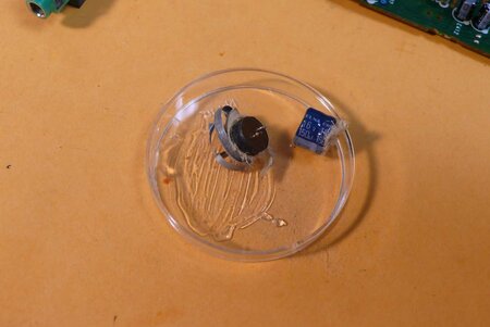 P1080328x.jpg