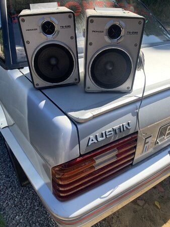 IMG_1314.jpeg