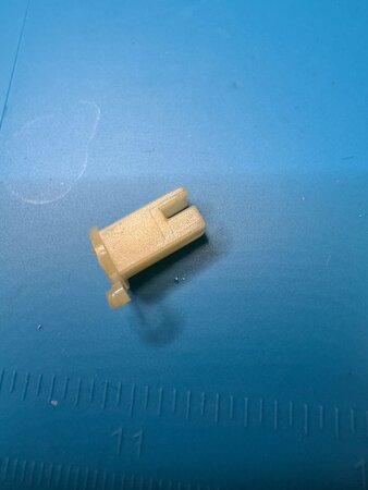 IMG_4438.jpeg