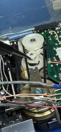 IMG_6727.jpeg